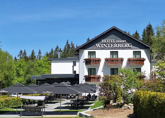 Hotel Winterberg Resort photo