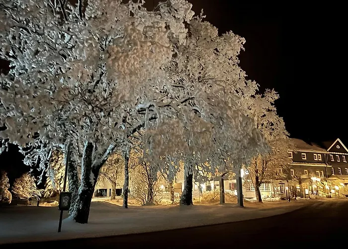 Hotel Altastenberg Winterberg Foto